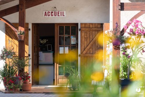 Accueil camping 2