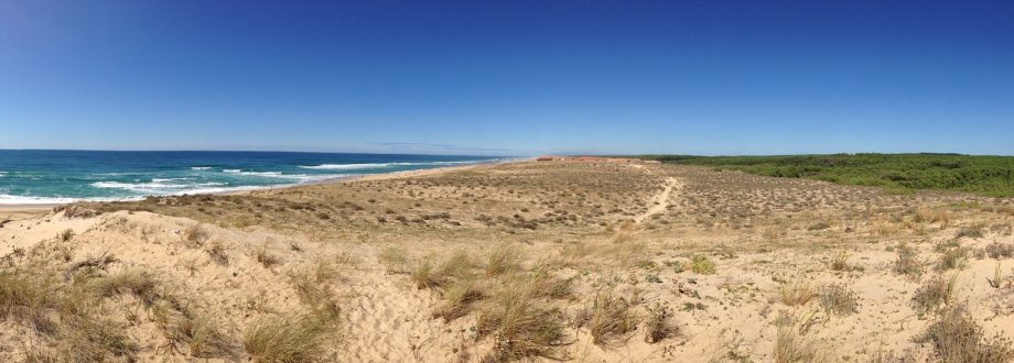 Plage de Labenne